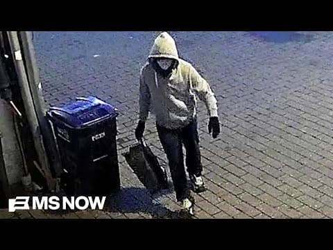 ‘I was in the DNC that day’: Symone recalls being with VP-elect when pipe bombs were found outside