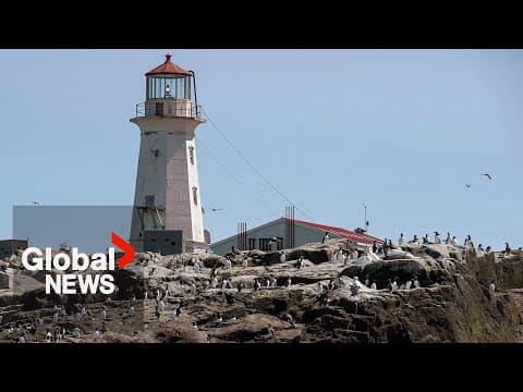 Senator calls on Canada to reinforce its claim to island off New Brunswick
