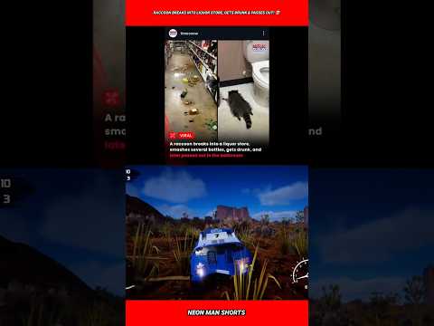 Raccoon breaks into liquor store, gets drunk & passes out! 💀 #shorts