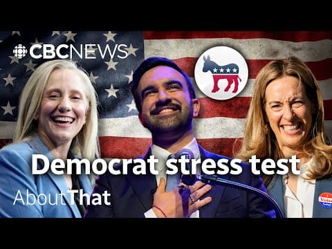 How Democrats won U.S. election night 2025 | About That