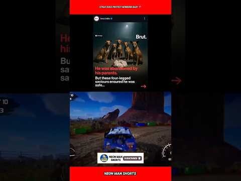 Stray Dogs Protect newborn baby ❤️ #shorts