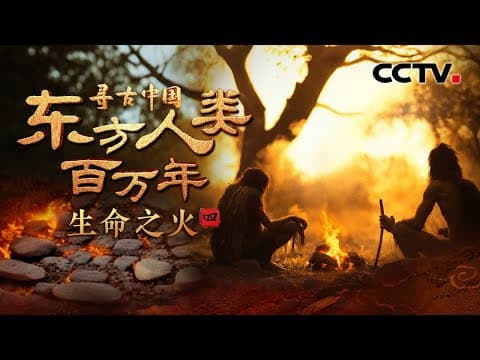 火,如何深刻影响古人类世界?中华大地上第一个用火之地在哪里?《东方人类百万年·生命之火》| CCTV「寻古中国」20250602