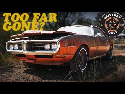 My neighbor hasn't driven this '68 Firebird in 40 years! We're going to change that | Driveway Finds