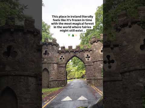 This place BLEW our MINDS! 🤯