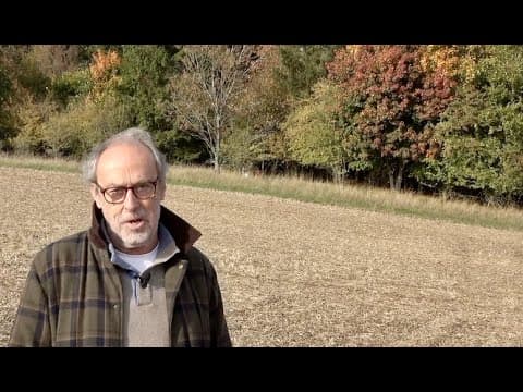 Wheat prices continue to rise, new fencing is underway & autumn arrives on the farm