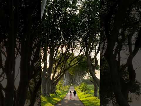 ABSOLUTELY worth the Drive! 😱