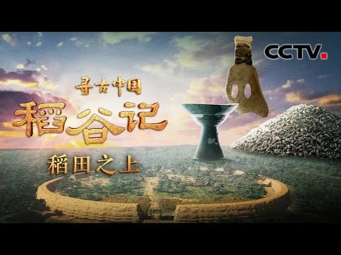 河姆渡考古打破水稻印度起源说,出土稻谷距今约7000年,首次证实水稻起源于中国!《稻谷记·稻田之上》| CCTV「寻古中国」20230816