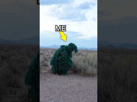 How Long Can You Live at Area 51?