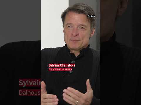 Family of 4 could pay $1K more for food next year