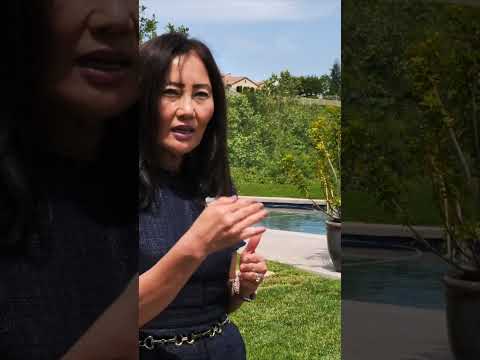 Tech tycoon shops for holiday home. Which one would you choose??