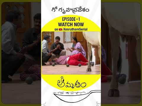 ఇంట్లో దిగిన రోజే అప్పాజీకి షాక్ ఇచ్చిన అమృతం 😂 | Amrutham Remastered EP 1 | Telugu Comedy Series