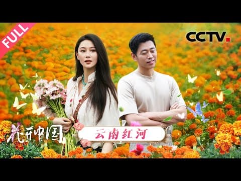 【Full】原来万寿菊并不是菊?玫瑰花竟然喜欢“喝”汽水?打卡“中国芯”月季、体验奇幻吸色菊,探寻“一朵花”的中国式浪漫 | CCTV「花开中国」20250913 第2期