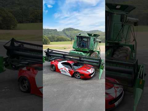 Harvesting season is here! That means Ferraris are being harvested for their dense nutrients 🤠