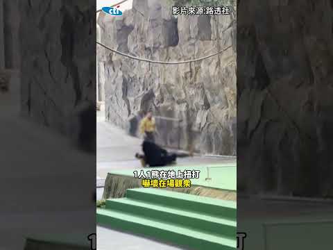 小黑熊表演途中暴衝「突襲飼養員」 園方道歉解釋:看到食物太興奮#shorts