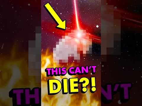 Is This the Most Invincible Creature on Earth?