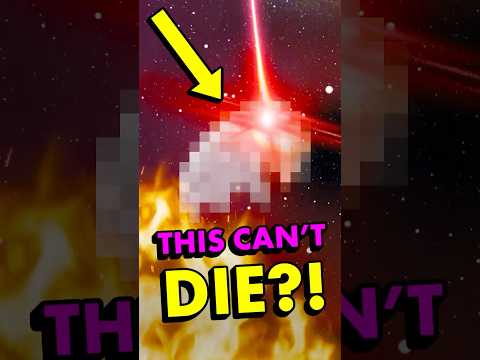 Is This the Most Invincible Creature on Earth?