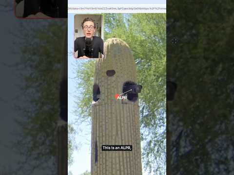 This cactus is watching you