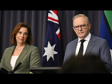 Labor’s ‘depressing’ social media ban seen as a political tool to ‘inhibit’ free speech