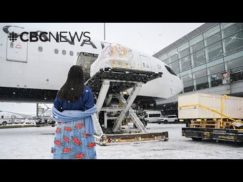 Dozens of repatriated Indigenous cultural objects arrive in Canada