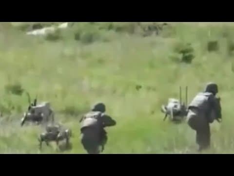 ‘Covered in blood’: China creates robot wolves to fight alongside their soldiers