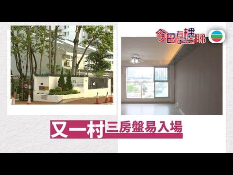 TVB今日有樓睇|2025年11月24日|二手交投理想 又一村三房盤易入場|樓市|樓盤
