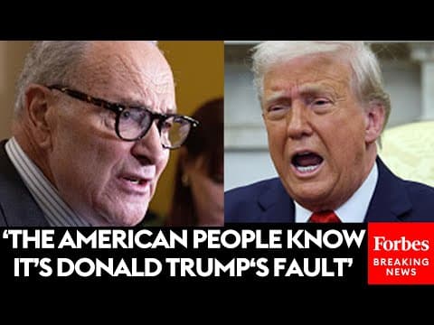 Chuck Schumer Excoriates Trump For Calling Affordability 'A Democratic Scam'