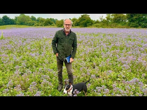It's finally rained & the crops are transformed but is DEFRA about to bash farmers again?