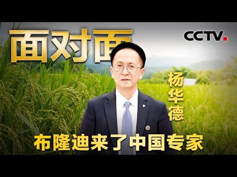 援助布隆迪8年,中国杂交水稻在非洲创高产纪录!来看非洲农田上的“魔术师” | CCTV「面对面」