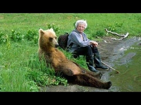 When Animals Distribution System Makes Sure Your Life Isn’t Boring 😼