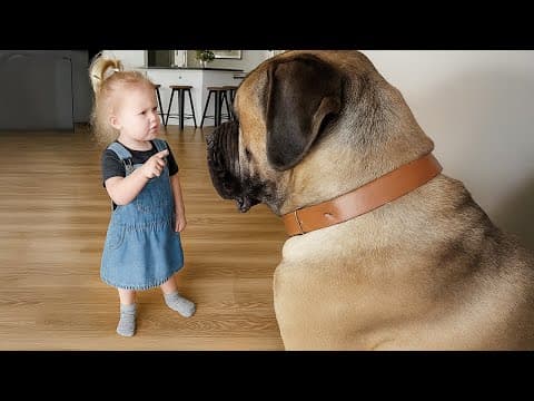 When Your Baby and Dog Have A Secret Language ❤️