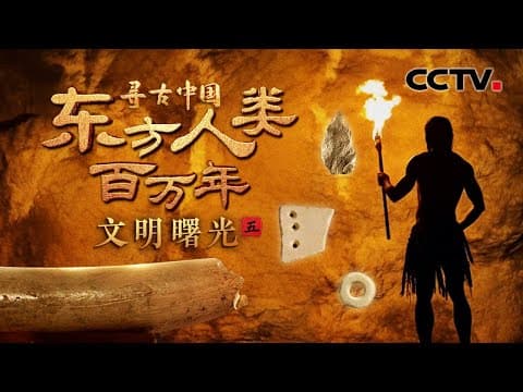 古人类住宅好讲究!13万年前的“灵魂画手”在象牙上创作,福建洞穴里惊现“精装修” ?《东方人类百万年·文明曙光》| CCTV「寻古中国」20250603
