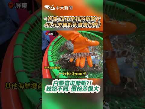 ”老闆!這不是我的蝦啊!” 400元斑節蝦代煮摻白蝦? #shorts