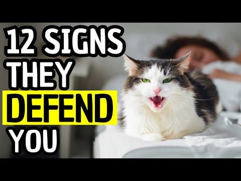 12 Signs Your Cat Is Secretly Protecting You