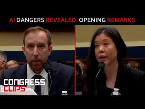 Mental Health Experts Sound Alarm on AI Chatbots! (Opening Statments)