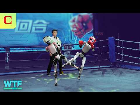Unitree G1 Humanoid Robot Boxing: All the WILDEST Highlights | What The Future