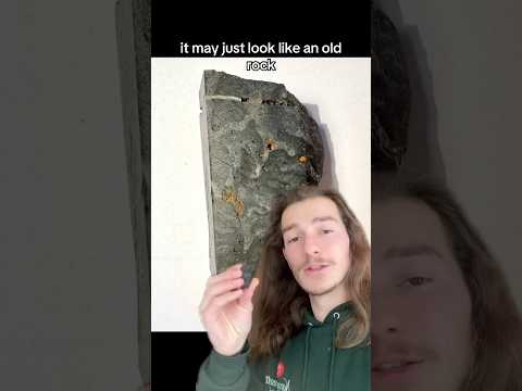 This Is A Two Billion Years Old Fossil