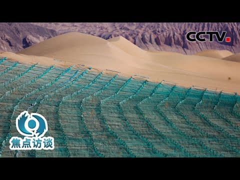 绿色长城合拢!380公里锁边林带让两大沙漠“分手” | CCTV「焦点访谈」20250617