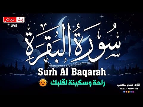 سورة البقرة طاردة الشياطين 💚 قران كريم بصوت جميل ومريح جدا 💚 تلاوة هادئة للنوم والراحة النفسية😴