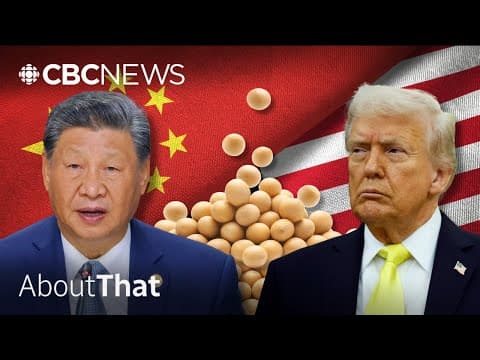 How China uses its buying power as a trade war weapon | About That