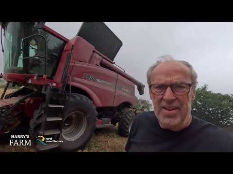 Harvest 2025 is go but yields are shockingly bad; down 50% on a normal year thanks to the drought