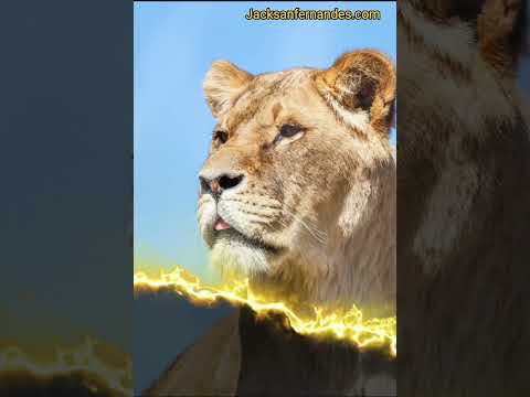 DON'T JUST SET GOALS. HUNT THEM.