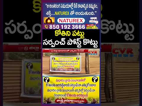 కోతిని పట్టు..సర్పంచ్ పోస్ట్ కొట్టు | Strange Events In Sarpanch Elections | CVR News