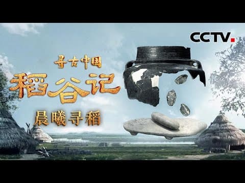 8000年前的海鲜饭长啥样?一起“穿越”千年,了解古人的烹煮技艺!《稻谷记·晨曦寻稻》| CCTV「寻古中国」20230815