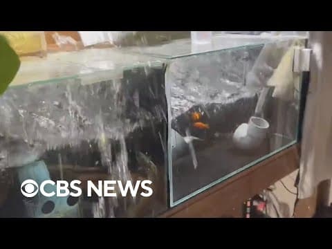 Strong Japan earthquake caught on security cameras