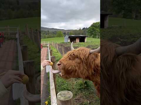 ✈️ 🧳 Do you travel fast or slow? #travelcouple #traveldestinations #europesummer #travelideas