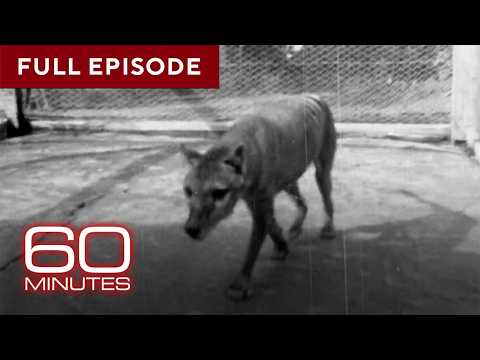 Animals That Have Faced Extinction | 60 Minutes Full Episodes