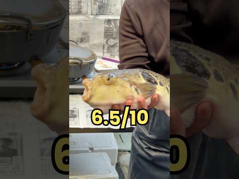 Street Food Market in Japan