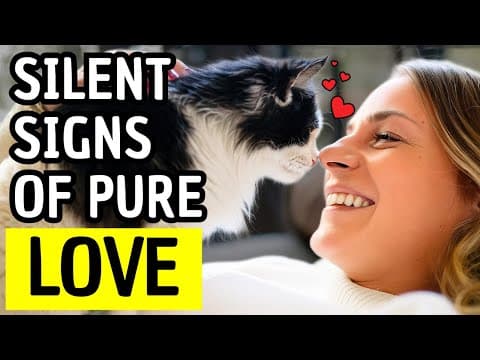 10 Secret Signs Your Cat Trusts You (And 5 Ways to Deepen the Bond)