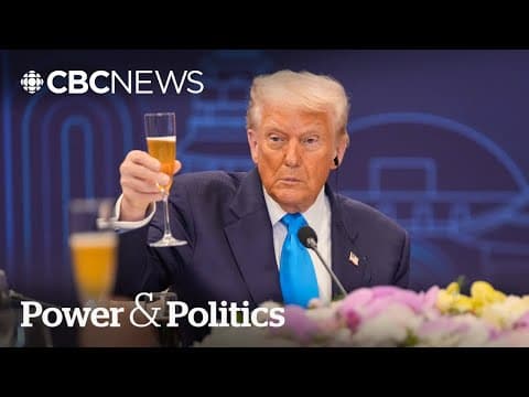 Is flattery the way to a deal with Trump? | Power & Politics