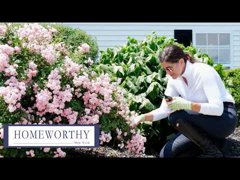 NEW YORK RANCH TOUR | Inside an 82-Acre Equestrian Estate & Events Ranch